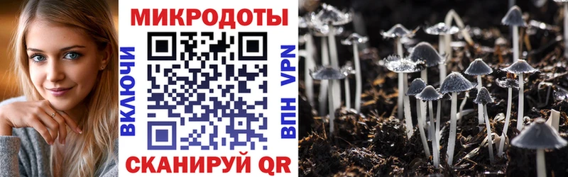 Галлюциногенные грибы Magic Shrooms  Искитим 